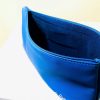 Renault sports pocket blue saddlers of the domain
