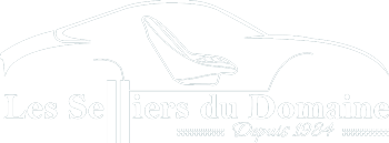 Paire de Sur Tapis Clio 2RS - Les Selliers du Domaine